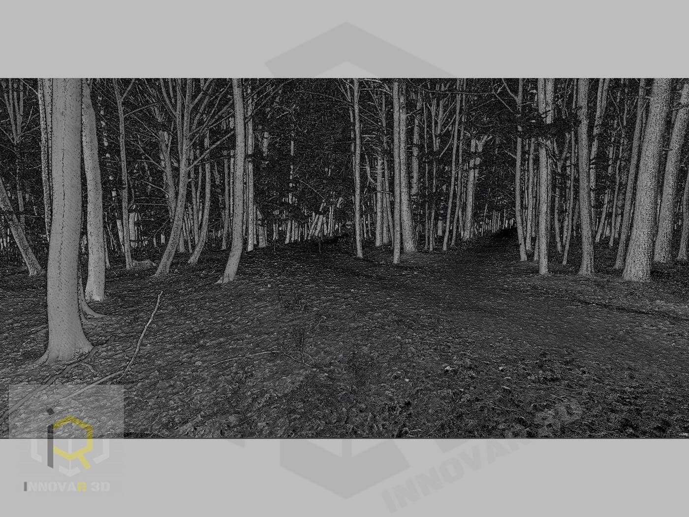 Skan 3D lasu inwentaryzacja  Skanowanie 3D drzewa